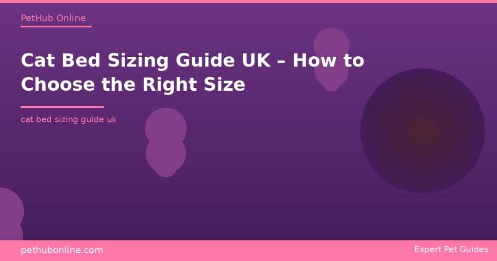 Cat Bed Size Guide UK 2026 – By Breed & Sleeping Style