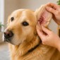 a5240eb5 590a 47b5 a733 b23c8d77aba5 85x85